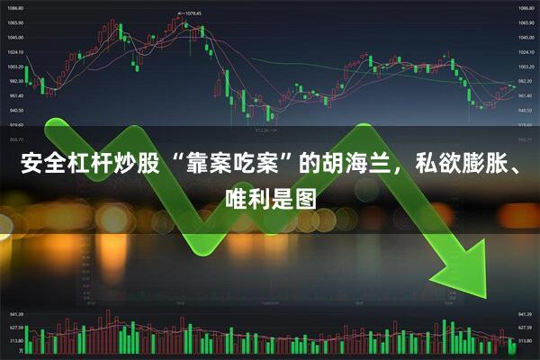 安全杠杆炒股 “靠案吃案”的胡海兰，私欲膨胀、唯利是图